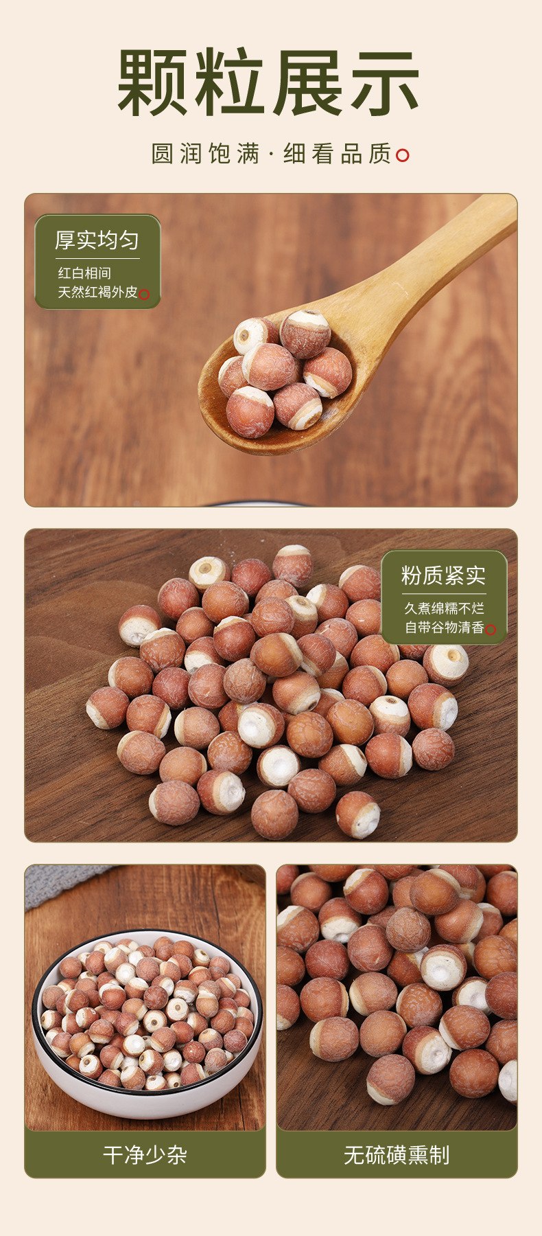 Dried Gorgon Fruit Qian Shi 200g Red Skin Euryale Seeds 12mm Premium Grade quality and texture