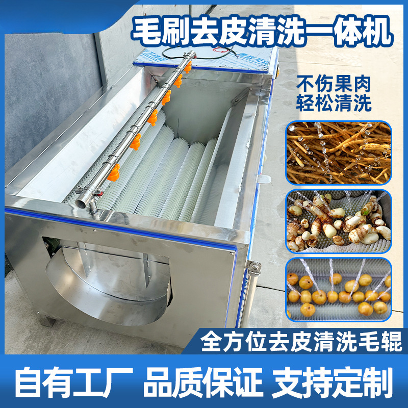 马蹄花生大姜生蚝商用毛辊清洗去皮机红薯胡萝卜土豆马铃薯脱皮机