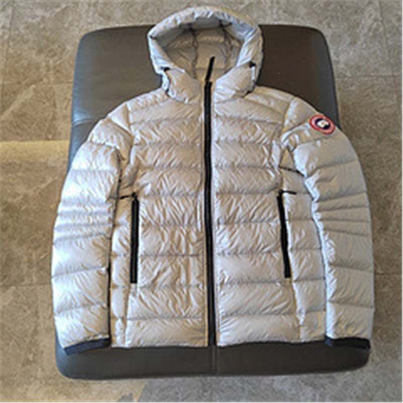 Silver-gray (REDLOGO)