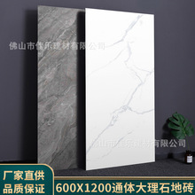 广东瓷砖600x1200客厅通体大理石地砖白色背景墙地砖卫生间墙砖