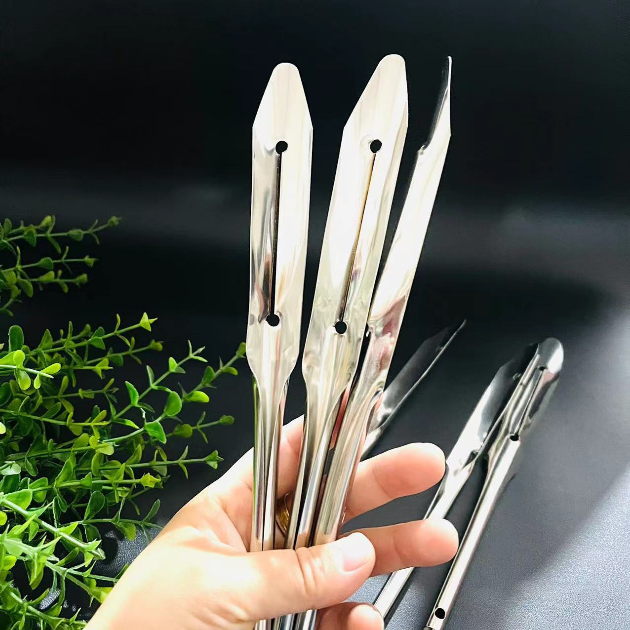 微信图片_202410251924383