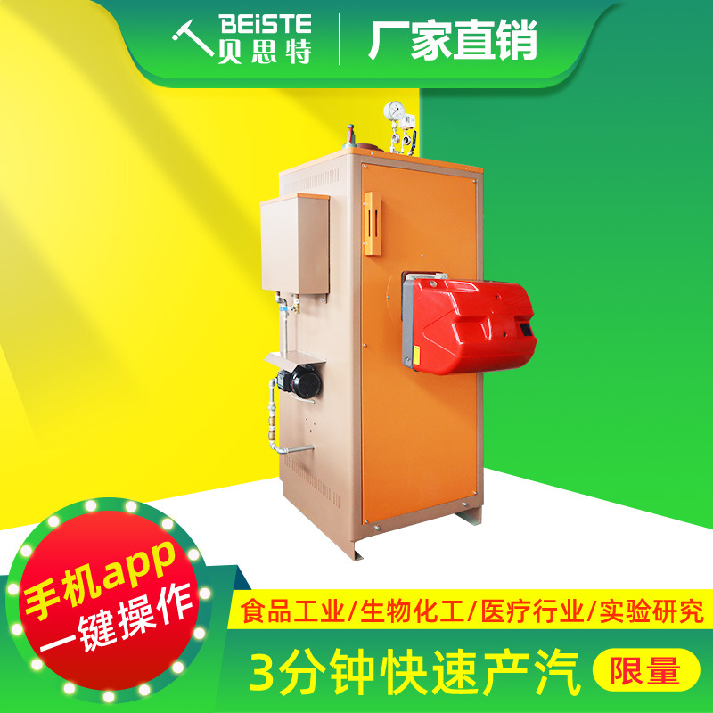 贝思特燃气蒸汽发生器50/80/100/150/200公斤蒸包子馒头反应釜用