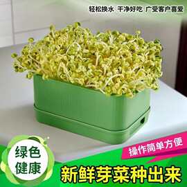 豆芽发芽盆神器芽苗菜育苗盘水培绿豆豌豆家用食品种植豆芽培育盆