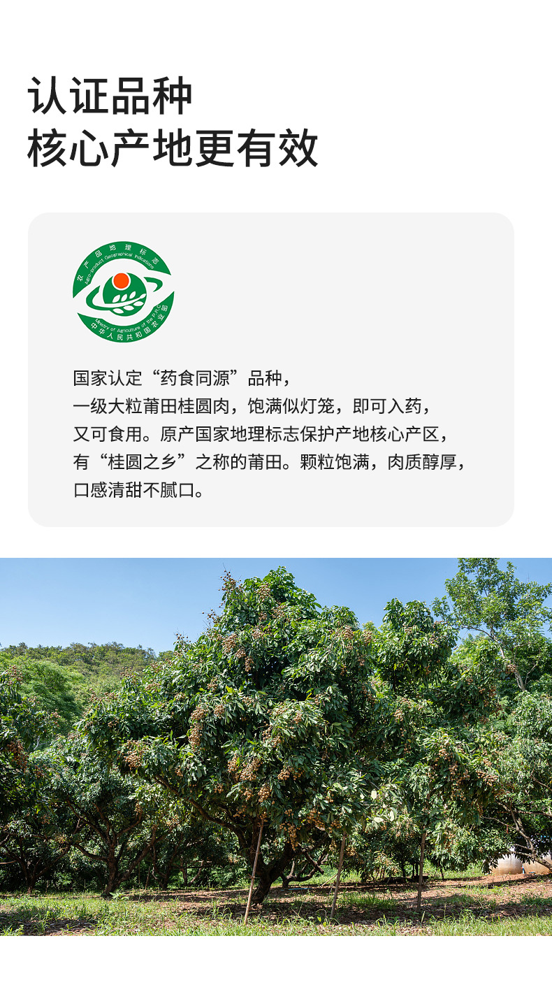 Dried Longan Fruit Tea Gui Yuan Rou 350g Can Sugar-Free Pitted Herbal Floral Tea in use