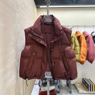Down Vest Women's Short 2024 Autumn and Winter New Korean Style Foreign Style All-match Casual Collar Thickened Vest Vest