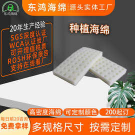 厂家定制方块定植育苗棉diy水培吸水海绵异形切割无土栽培种植绵