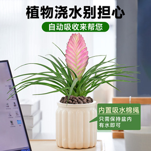 �F�m��������ɫ���܎������҃�����Gֲ�辰���B�ļ��_����λ�Gֲ