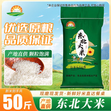���ږ|����������50���b�A���������������l����b