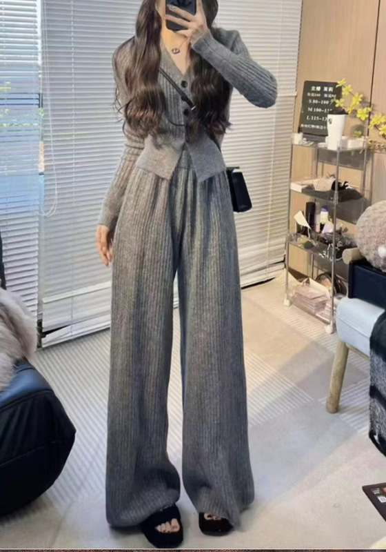 PH50831大爱美依缘2025秋季新款小个子时尚V领上衣阔腿裤两件套女|undefined