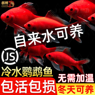 ��ˮ�W�^�~�ͻ�t�~��ˮ���B�׻���ˮ�~���^�p�~���~���~�ͻ��\��