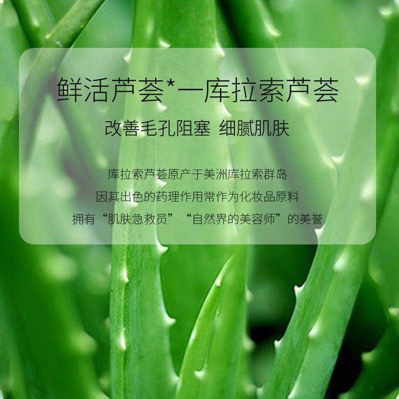 Shi Hou Aloe Vera exfoliating gel men and women face deep cleansing aloe Vera gel hydrating moisturizing aloe vera gel wholesale