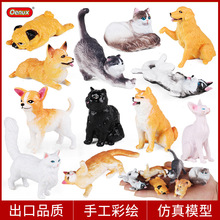 ��������؈��С����ģ����߿»���Ȯ��ë��ż؈�oë؈��ʿ���Ȍ�