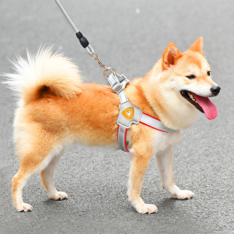 Vest-style dog leash new dog chest strap pet dog walking leash dog Chai dog method bucket Corgi neck ring wholesale