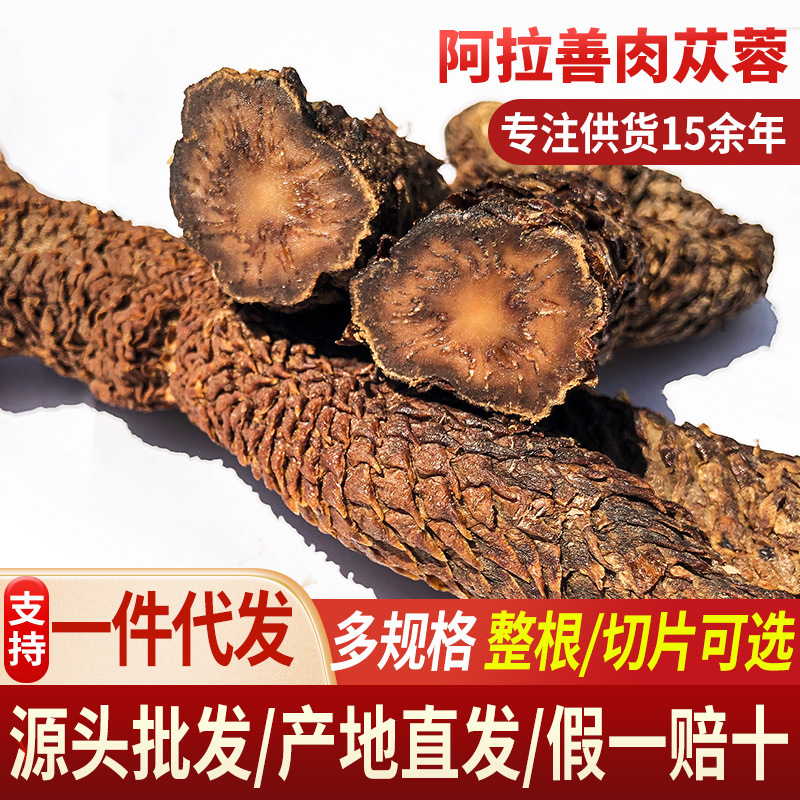 Origin direct supply of Inner Mongolia Alashan desert Cistanche in autumn medicine and food homologous whole root soft big yun wholesale Origin direct supply of Inner Mongolia Alashan desert Cistanche in autumn medicine and food homologous whole root soft big yun wholesale