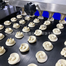 扭花曲奇餅機 粗糧曲奇糕點機上海合強曲奇機械 曲奇餅干烘焙設備