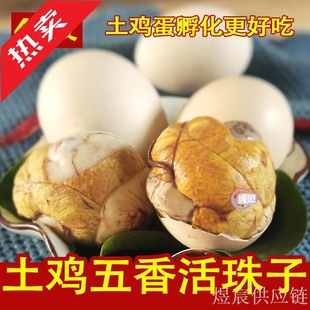 �������������r13���u�ߵ��������l��ϲ��䓻���ë�u�����Ҏ��