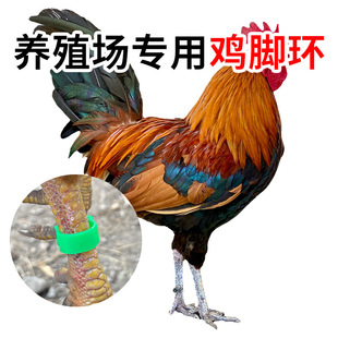 �u�_�hһ�����������ӛ̖���Bֳ�����_�h�u�Ø˺������u���Z�_�h