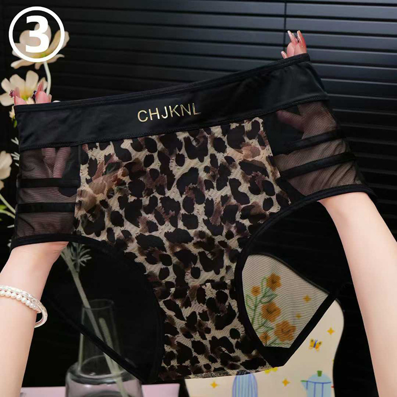 Leopard Print Mesh High-Waisted Panties for Women, Silky and Sexy Lace Transparent Hot Panties with Bowknot for Girls