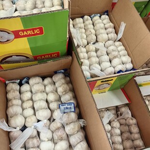 �������ɽ�|������ڃr����Ƥ��r�����Q�������m�Rȫ