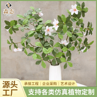 ���Ɨd�ӻ�����Gֲ�d���~��֦�Ҿ��bپGֲɭϵܛ�bֲ�ﻨ��