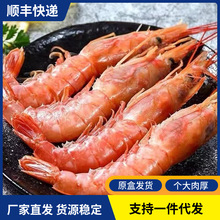 单冻阿根廷红虾l1新鲜速冻大红虾海捕大虾鲜活冷冻海鲜水产批发