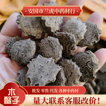 中药材木鳖子中药材 木鳖子仁 漏苓子 木别子 桐子果新货大果