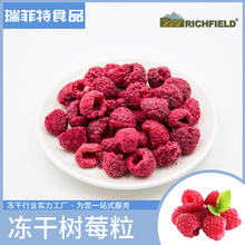 冻干树莓FD厂家批发水果干覆盆子粒水果茶甜品蛋糕烘焙原料