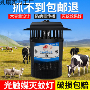 ���������Bֳ�����Ü��ß����|ý�����������������ʽ���ʜ�ω