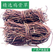 VuǲȻ500´SȻoҜďV|Ҝ