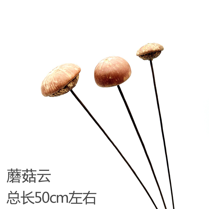 버섯구름 3개
