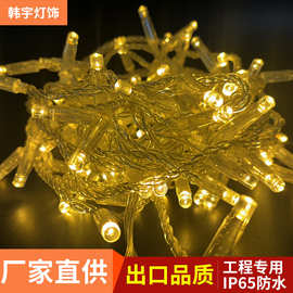 跨境IP65防水灌胶灯串户外工程装饰照明绕树灯串灌胶露营装饰彩灯