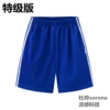 Blue shorts (special version)