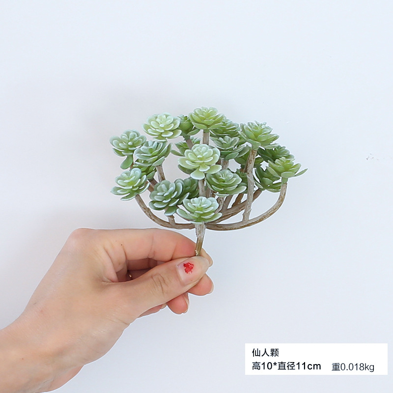 Nordic Planta artificial en maceta cactus falsa planta verde suculenta ins sala de estar decoración de interiores flor falsa adornos creativos image 16