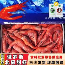甜虾刺身生吃寿司甜虾俄罗斯特大绿籽虾牡丹即食日料商用北极甜虾