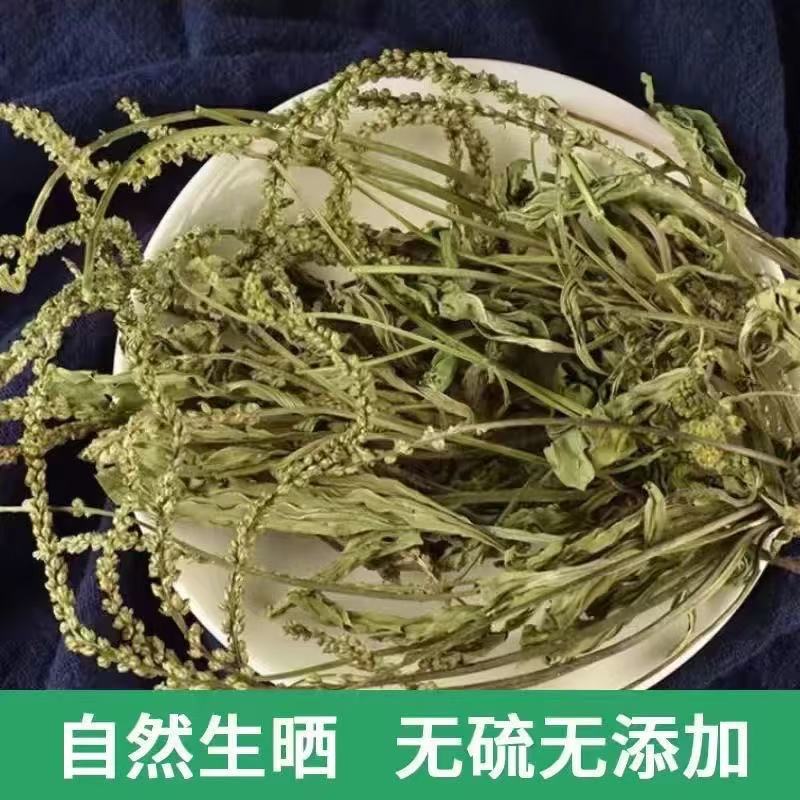 Dried Plantain Herb Che Qian Cao 40g Natural Sun Dried Whole Plant for Herbal Tea and Decoction in use