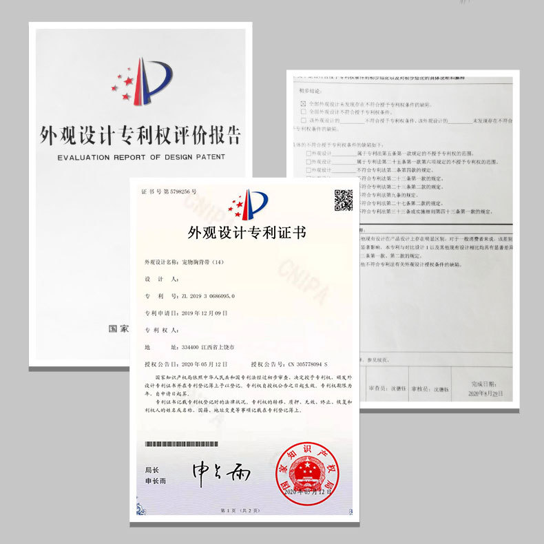 猫咪户外安全带04