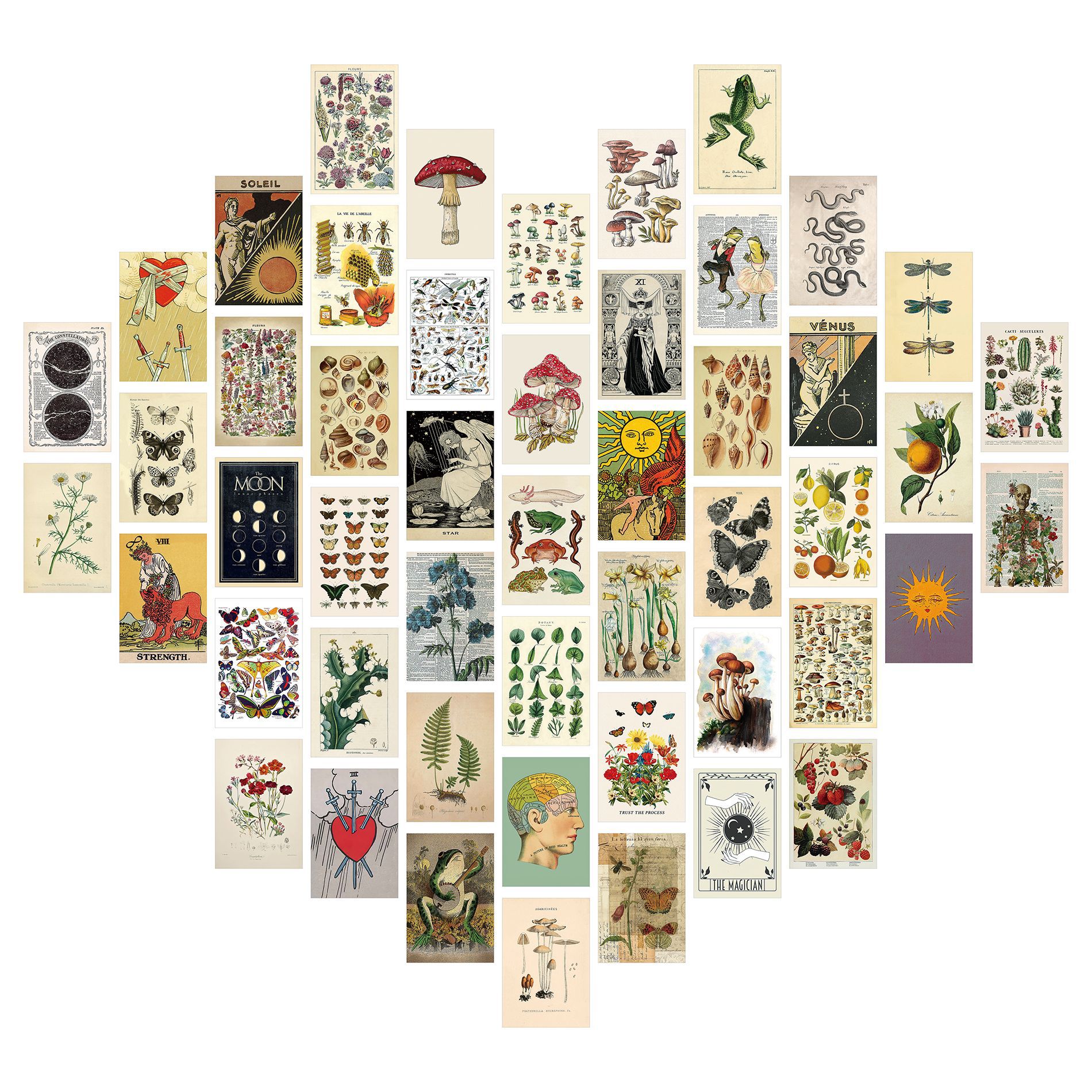 M3124-50매(양면 인쇄)