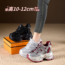 [10cmϵЬŮ2025¿rpe\ЬŮٴ