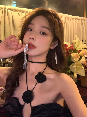 Autumn and winter tassels have more cash than can be accounted for Six awn star Ear bones Beautiful Ear clip Light extravagance A small minority Sense of design senior Earrings E903