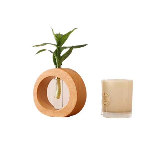 Decoración de escritorio de sala de estar de estilo japonés de madera maciza, decoración de arreglos florales, mini jarrón de vidrio, hidropónico de flores acuáticas transparentes