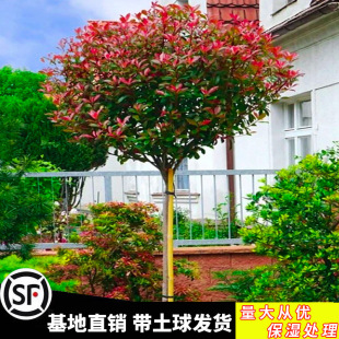 һ�����l�t�~ʯ������ߗU�������С��ͥԺ�@�־G���繤������