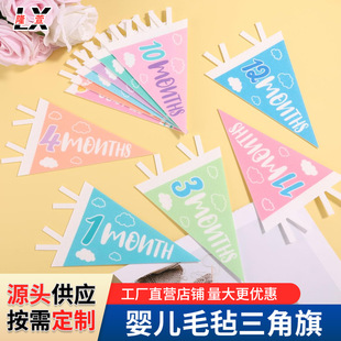 Age Milestone Felt Pennant Hanging Flag Baby First Birthday Decoration Felt Milestone Pennant