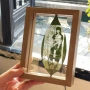 双面雕刻透明干花画框
