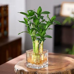 �����߸��F��ˮ��ֲ���k���҃�������B�ļ�������ؔ����