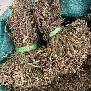 ���P�������F�ݱP������؛�i�޲� ���~�� ������ һ����