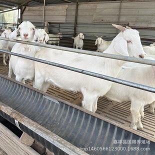 �Bֳ���� ɽ������� ��ɽ�� Сβ�������l ����S�� �������l