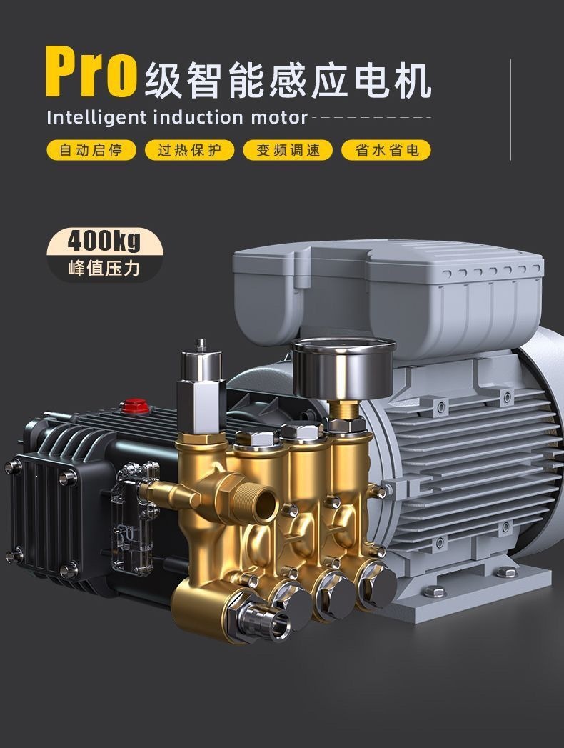 New Model Black Cat Car Washing Machine Commercial 220V High-Pressure Car Wash Shop High-Power Industrial Cleaning Machine for Farms
