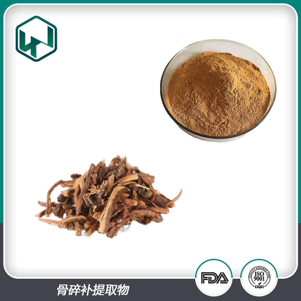 骨碎补提取物 10:1%比例植物提取保健原料粉 现货包邮量大从优
