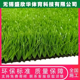 Shengxinhua Filled Artificial Turf Football Field Sports Park Football Club School Football Field