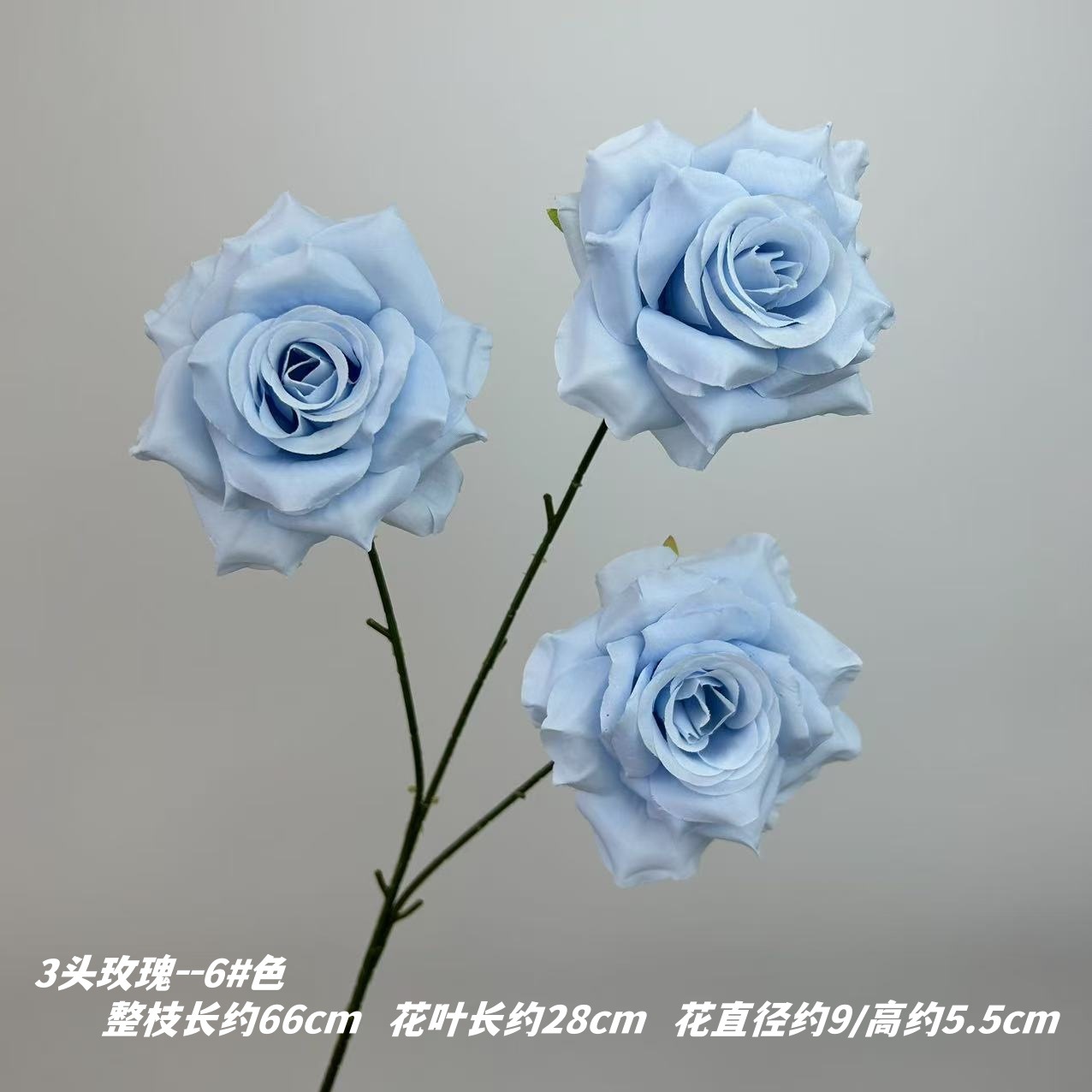 6 # 색상